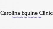 Carolina Equine Clinic - Lisa H Handy